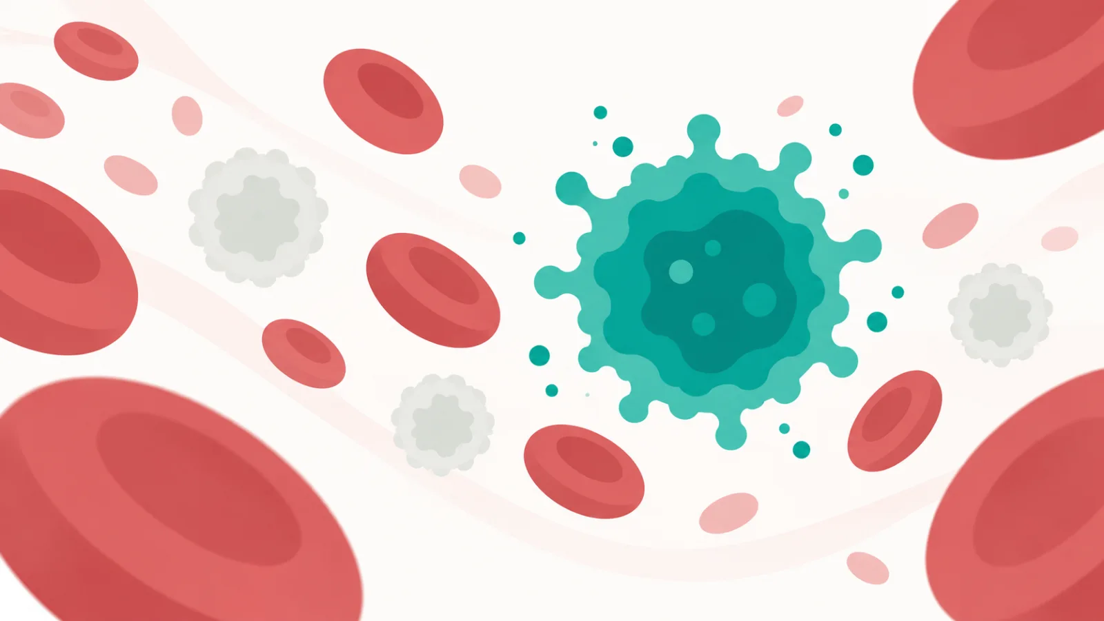 Illustration of white blood cells circulating among red blood cells, representing the reactive lymphocytes seen on a full blood count in glandular fever